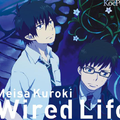 Wired Life (アニメ盘)