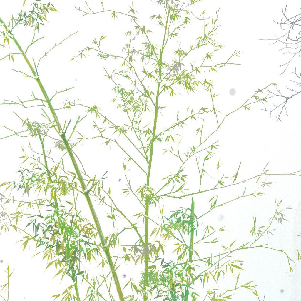雪花