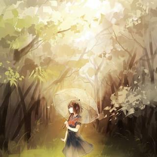 吉他 | 林荫间清新的漫步幻想