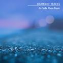 17 Harmonic Tracks to Calm your Brain专辑