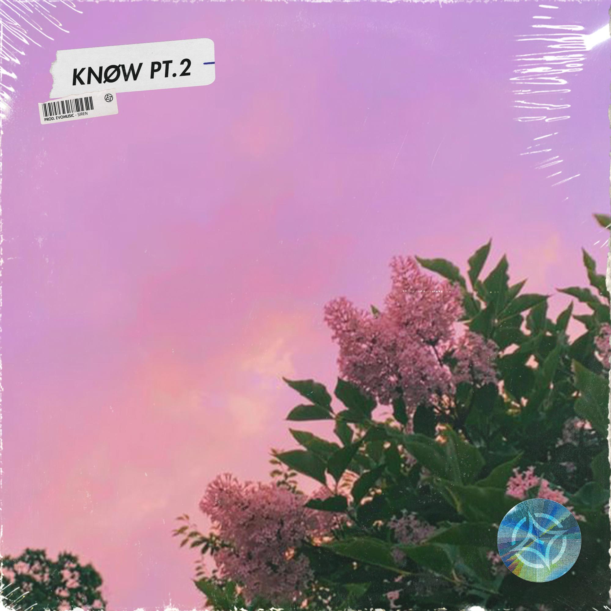 Free Sad Piano Type Beat - "KNØW Pt.2"