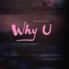 Why U
