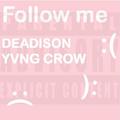 (Don't) Follow me