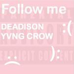 (Don't) Follow me专辑