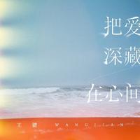 王键 - 把爱深藏在心间 (DJ九零版伴奏)
