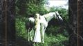 Lillie Charlotte Within Metamorphose专辑