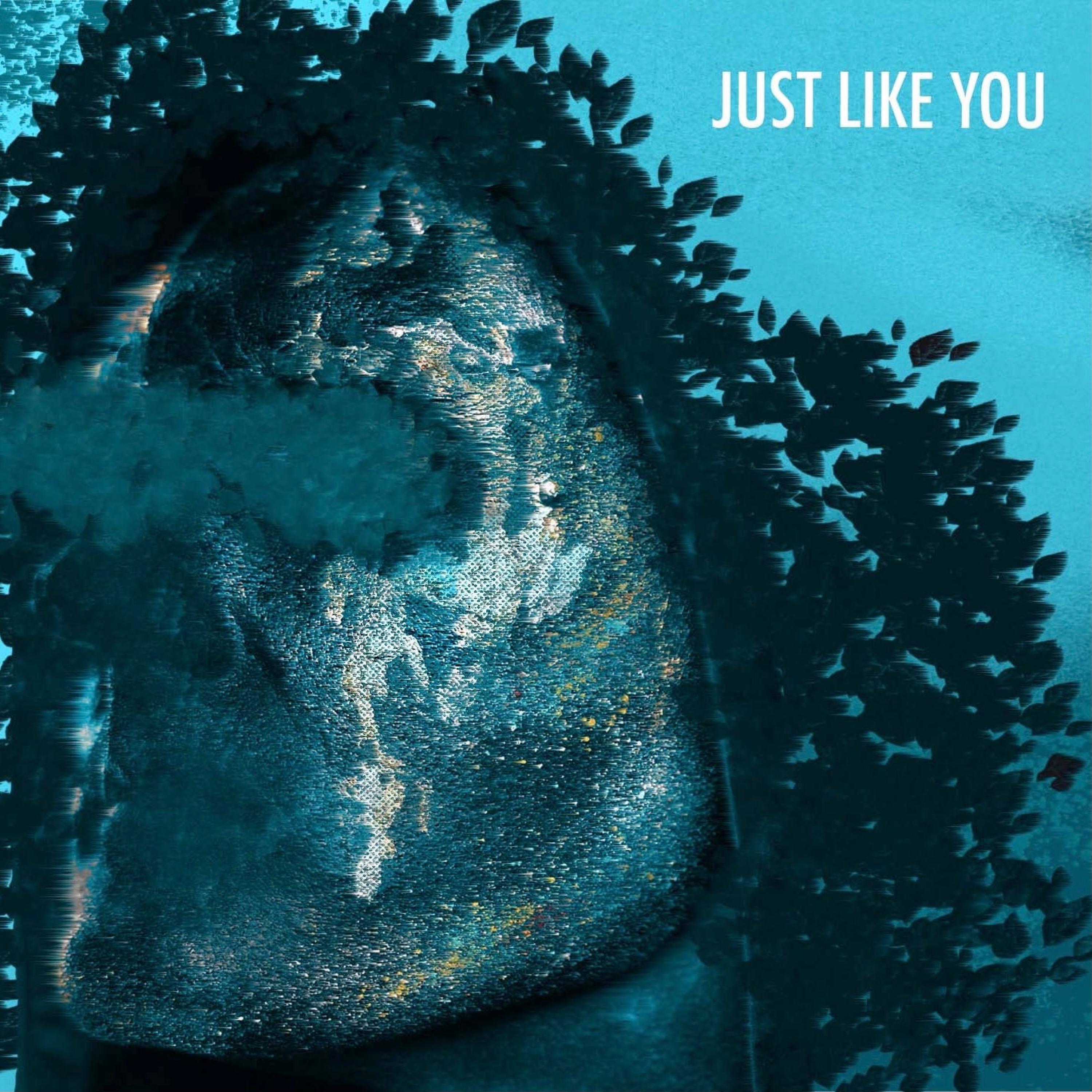 Just Like You