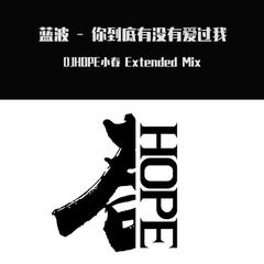 蓝波 - 你到底有没有爱过我 (DjHope小春 Extended Mix)