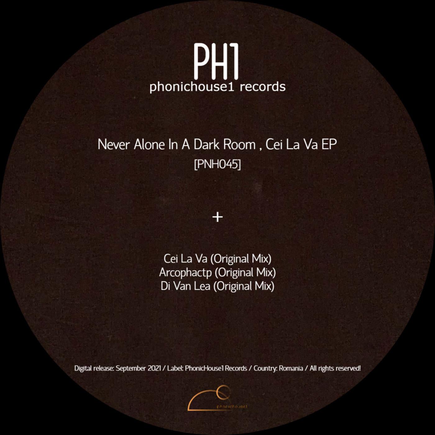 Never Alone In A Dark Room - Cei La Va (Original Mix)
