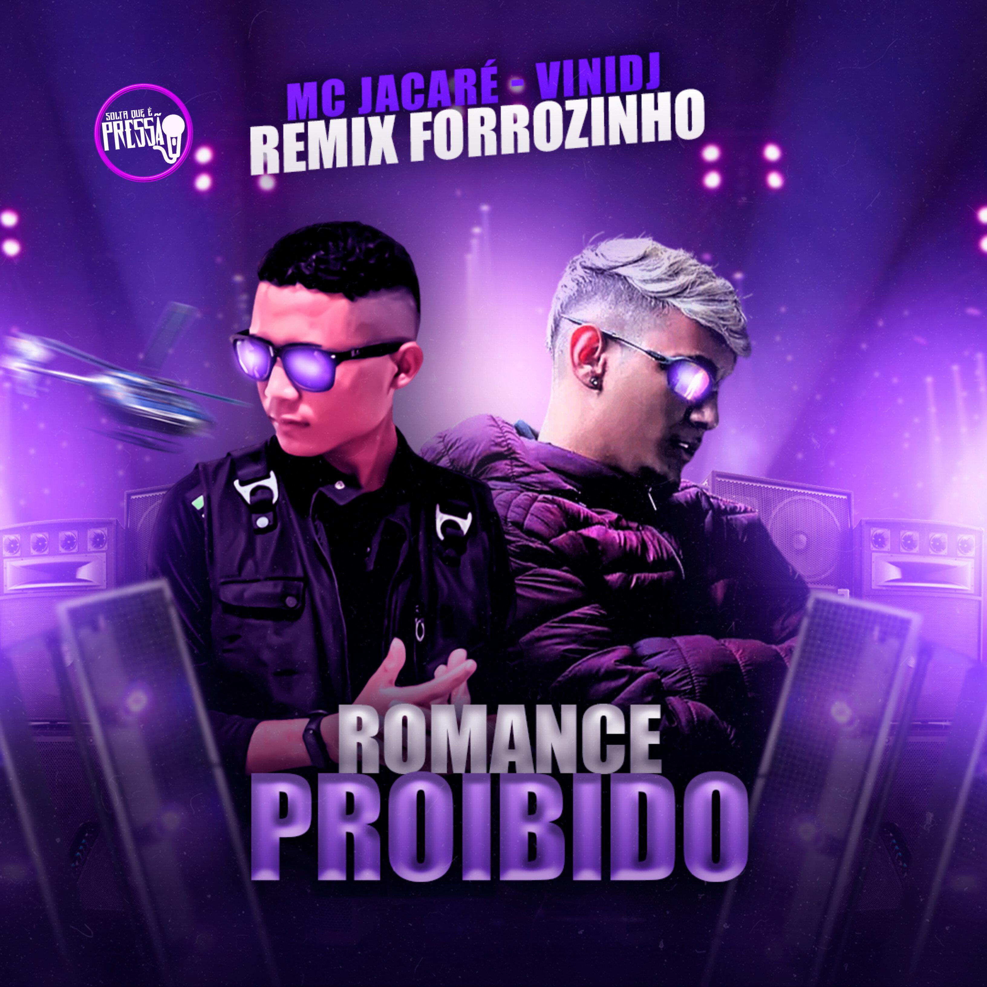 VINI DJ - Romance Proibido (Remix Forrozinho)