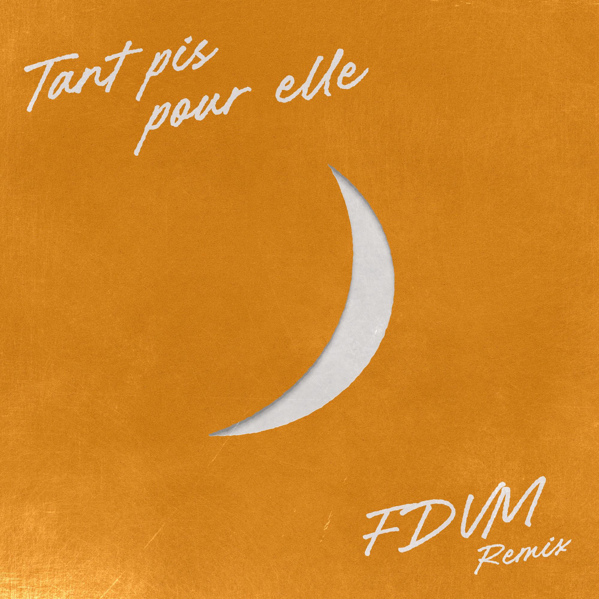Tant pis pour elle (feat. Charlotte Cardin) [Remix]