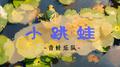 小跳蛙专辑