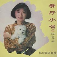 陈思安 - 枫林小桥(慢四步)