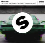 Drop That Low (When I Dip) [Timmy Trumpet Remix]专辑