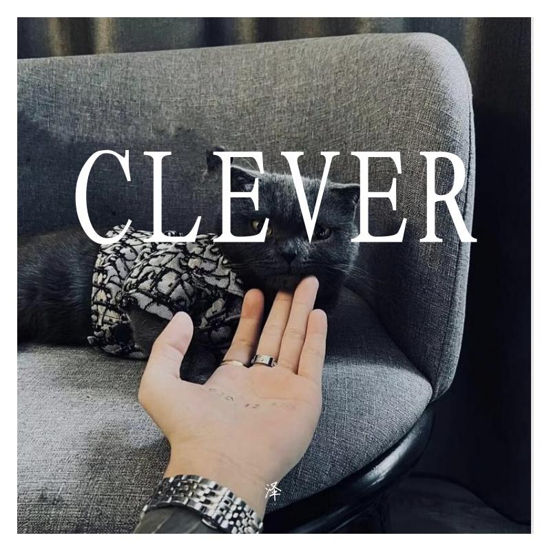 CLEVER