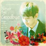 Never Say Goodbye专辑