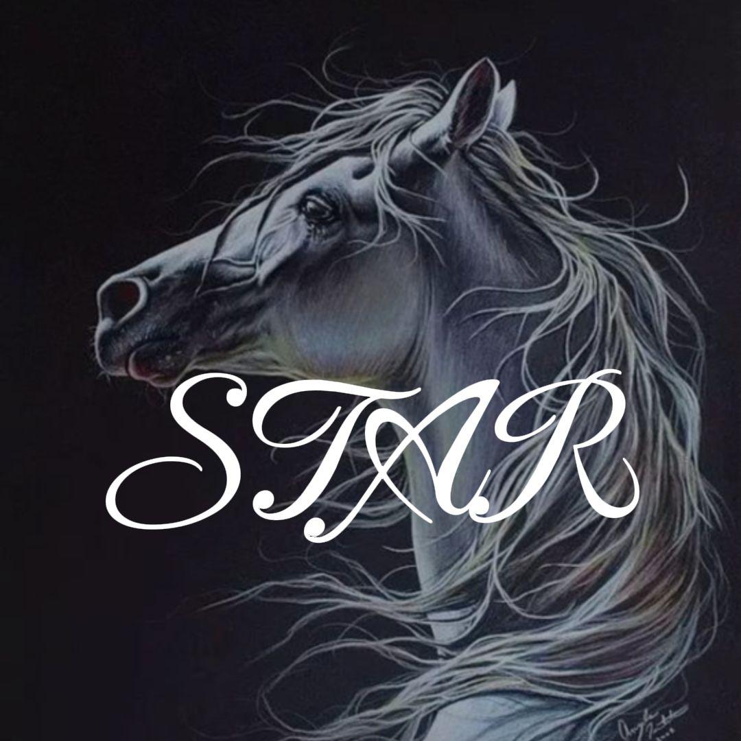 New Star(Original）
