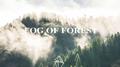 FOG OF FOREST专辑