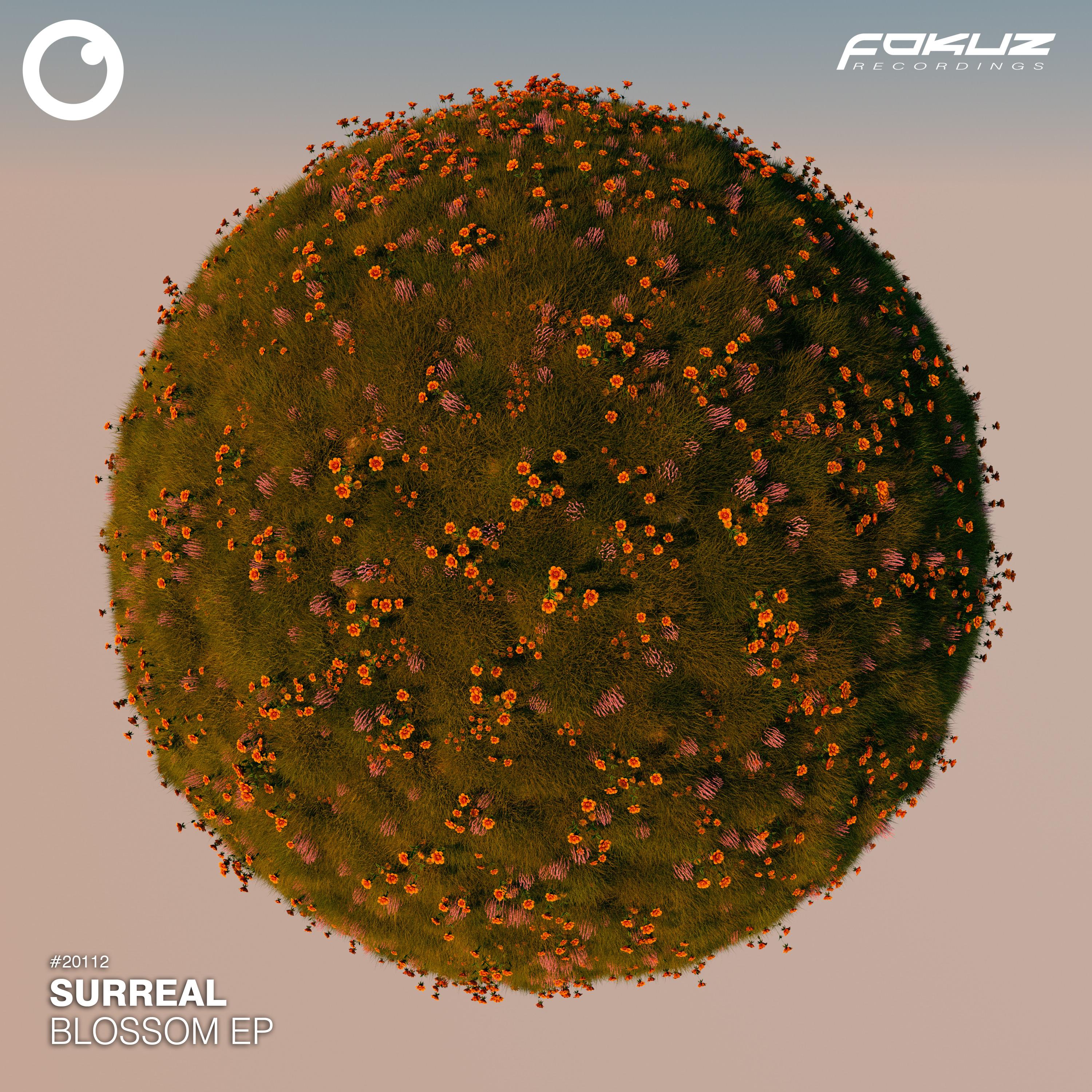 Blossom EP