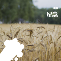 纪念