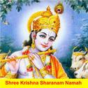 Shree Krishna Sharnam Namah专辑