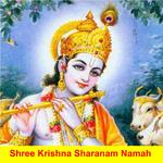 Shree Krishna Sharnam Namah专辑