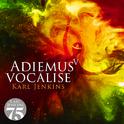 Adiemus V - Vocalise专辑