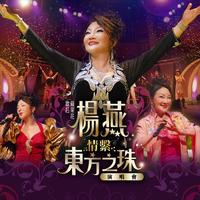 林冲 - 1-钻石(原版Live伴奏)