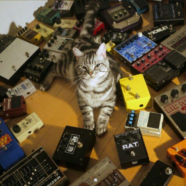 和式Shoegaze浪潮◎日系噪声美学