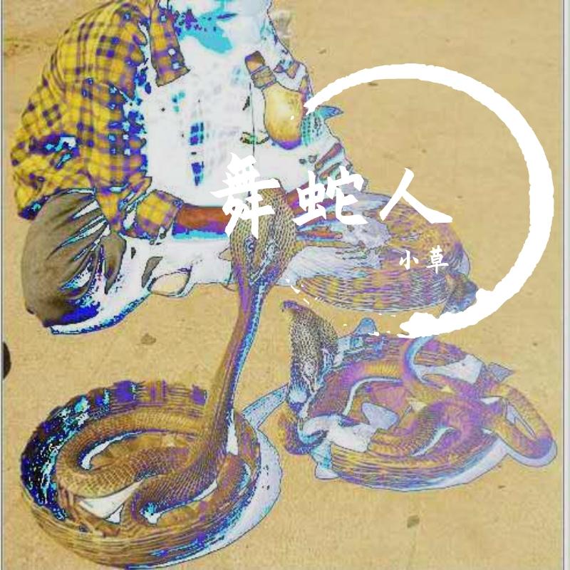 舞蛇人与失控的蛇