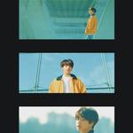 Euphoria-BTS专辑