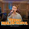 Nabila Maharani - TRESNO NGALOR NGIDUL