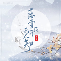 落雪花开无人知