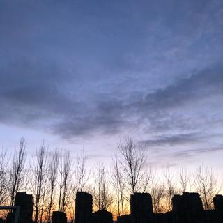 不赶什么浪潮 也不搭什么船-