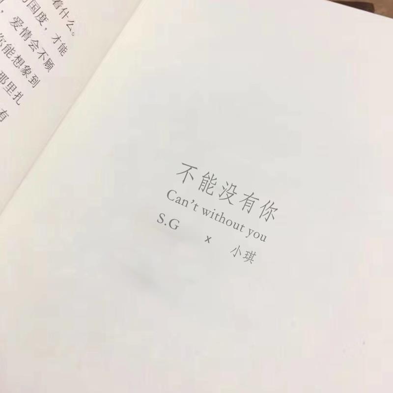 不能没有你专辑