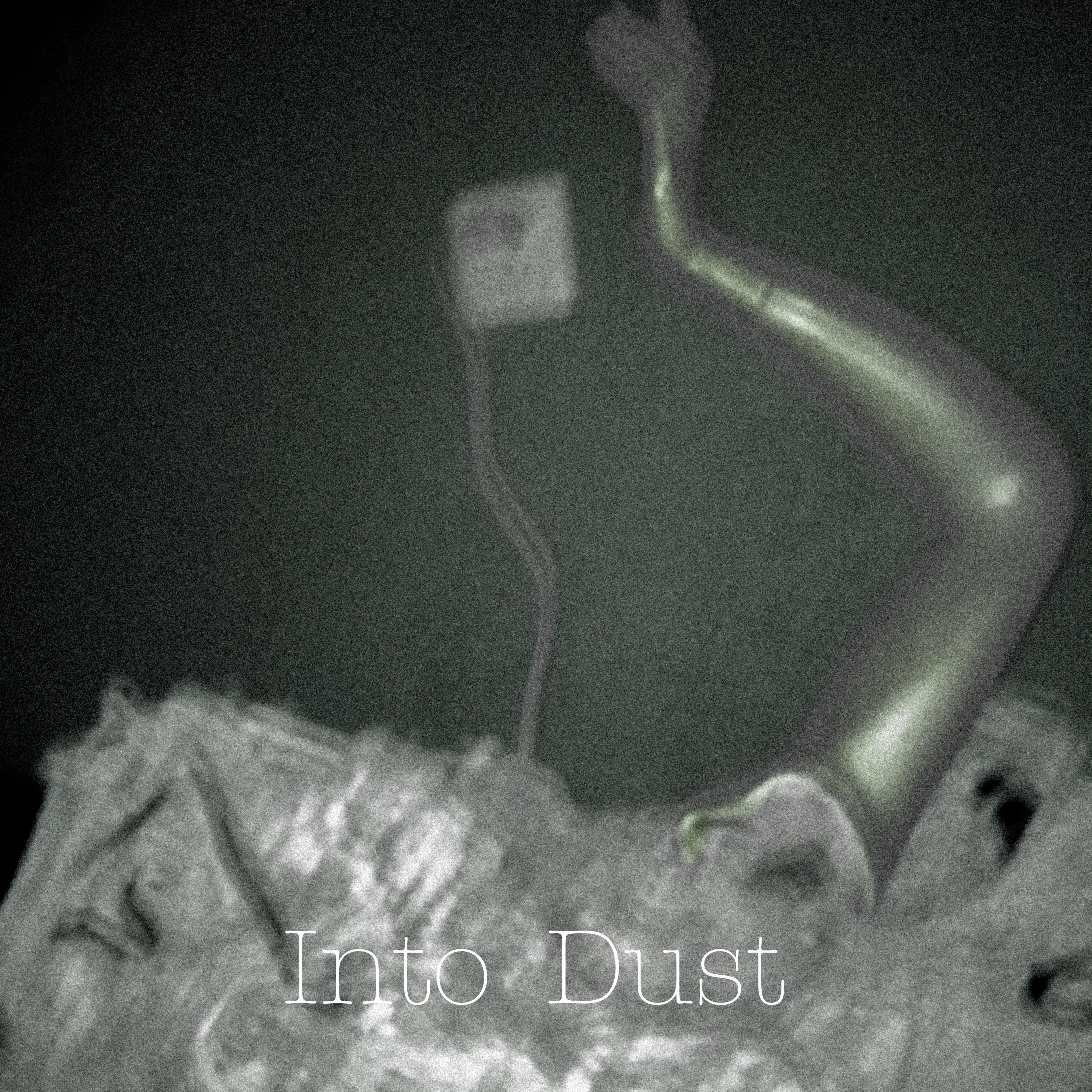 Into Dust(cover.Mazzy Star)