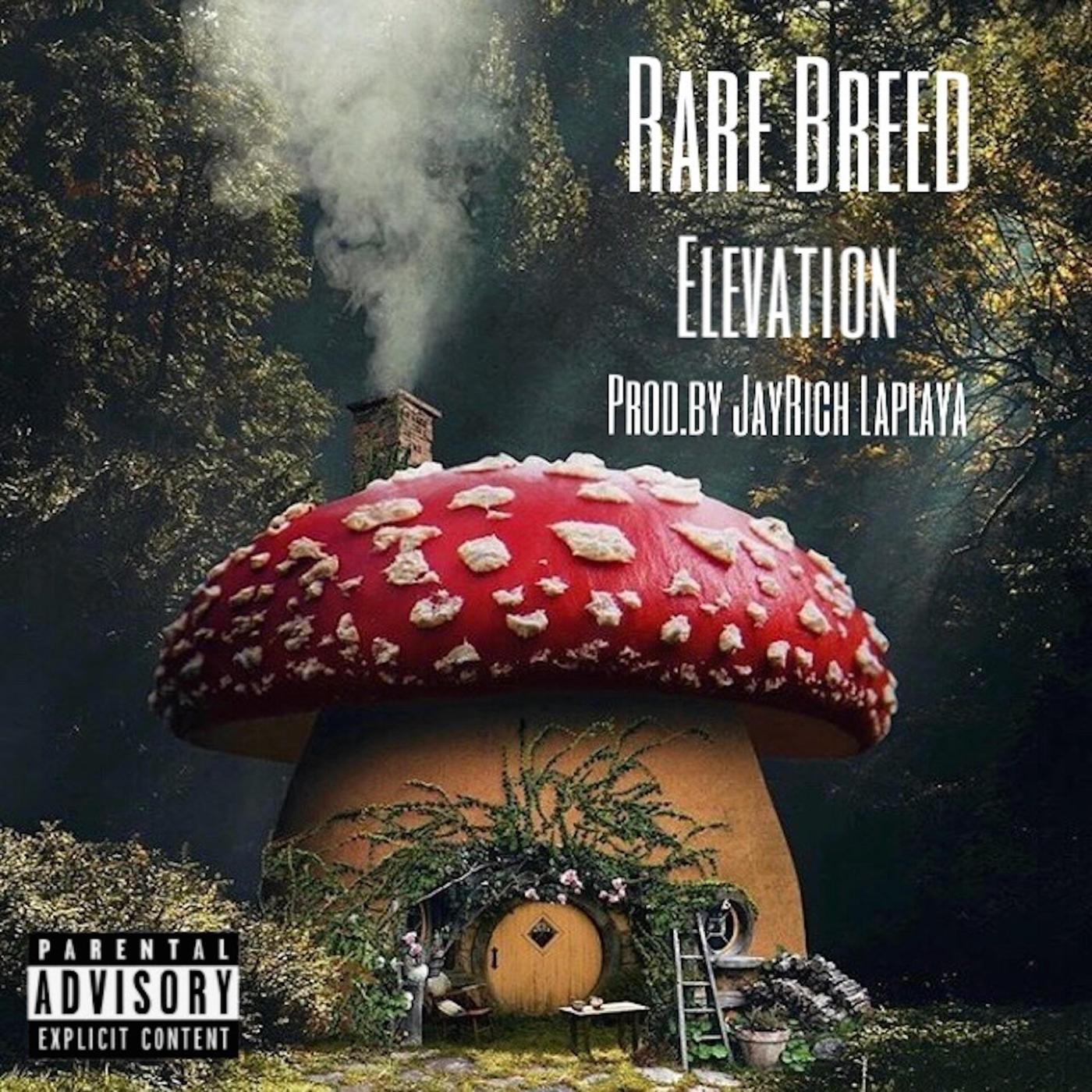 Elevation