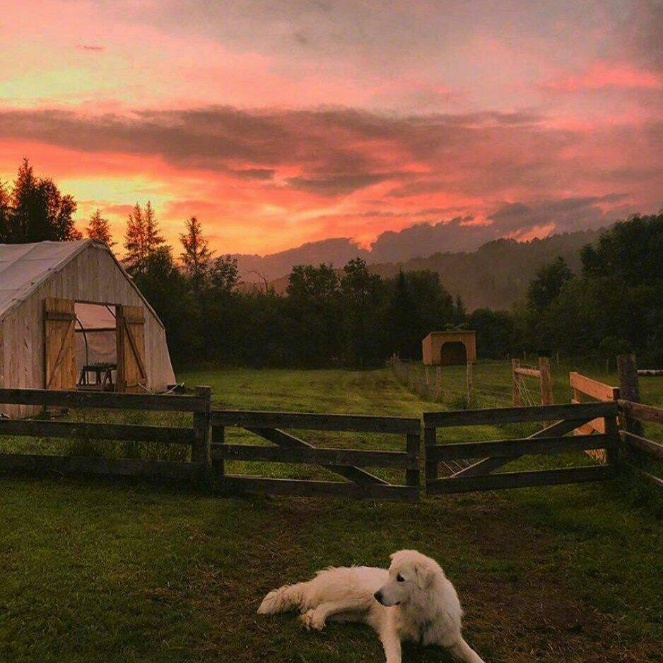 人类行为图鉴BGM(持更中) | 在线播放 | 网易云音乐