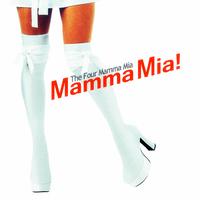 Mamma Mia - The Winner Takes It All (karaoke)