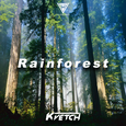 Rainforest (Orignal Mix)