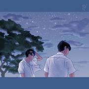 鸽子