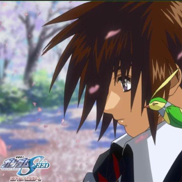 GUNDAMSEED & SEED DESTINY