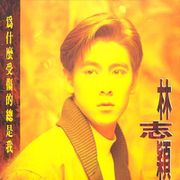 林志颖 - 轻轻握住你的手(93年演唱会版)