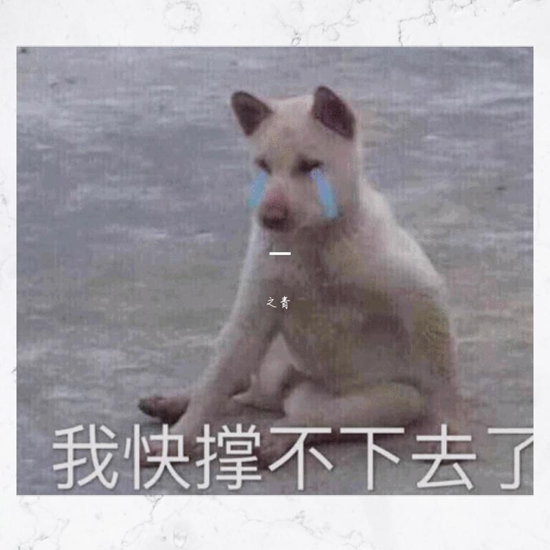 名模之路（Prod By FireX）