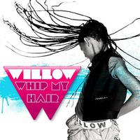 Whip My Hair - Willow Smith (SC karaoke) 带和声伴奏