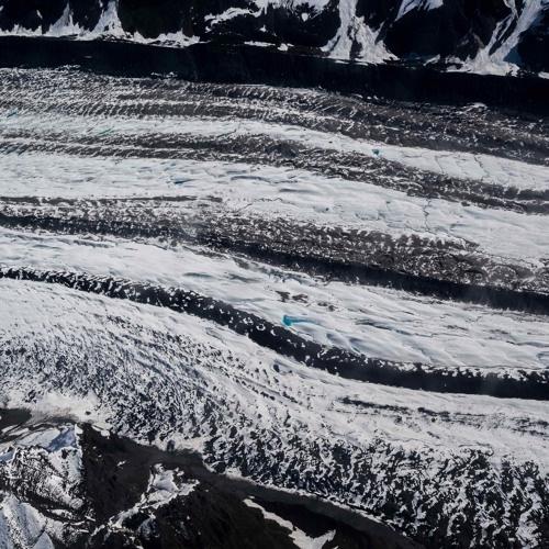 Orca (Waved Edition)