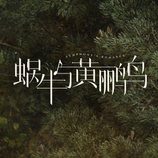 《蜗牛与黄鹂鸟》——钢琴曲收录（暂停更新