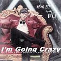 I'm Going Crazy专辑