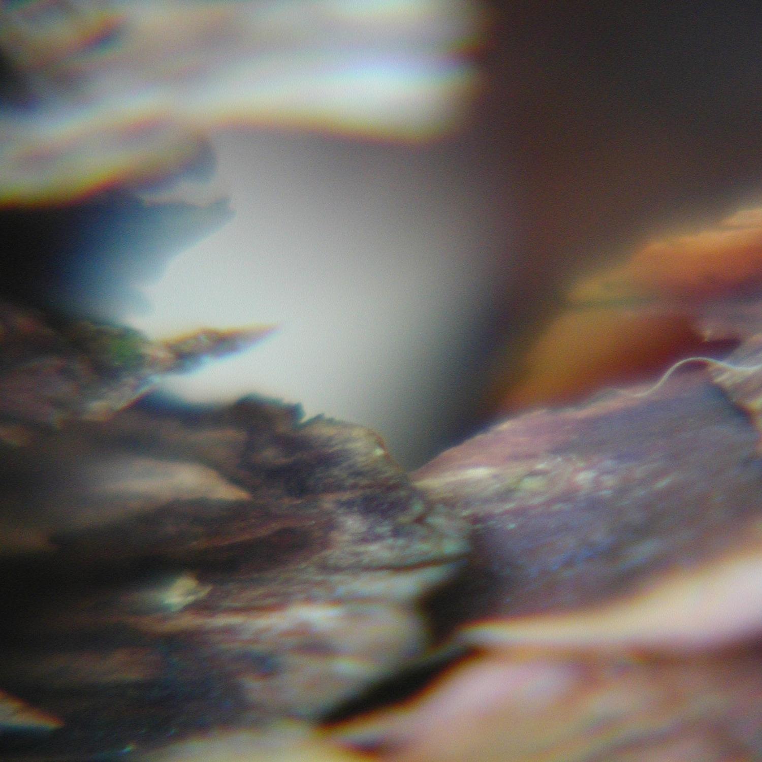 Das Universum in Der Hosentasche