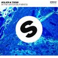 In The Water (BLR Mixes)